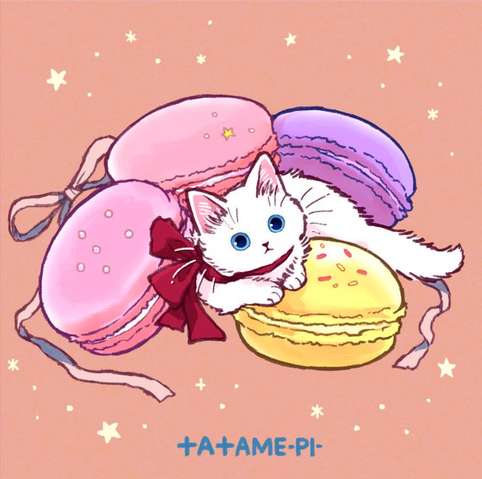 「白い猫」のTwitter画像/イラスト(古い順｜RT&Fav:50)｜3ページ目