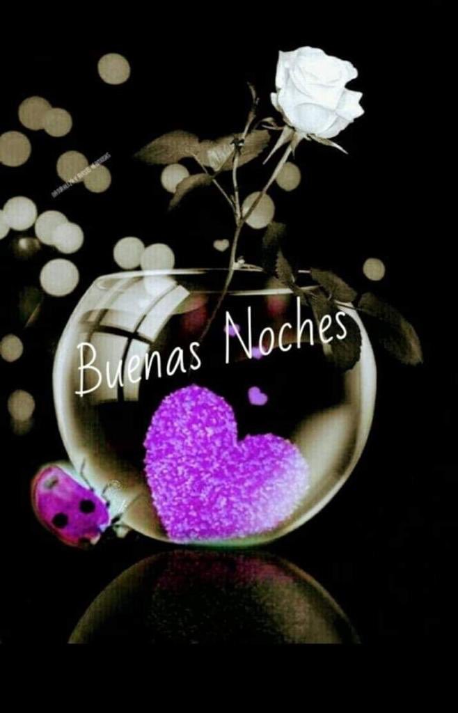Maria Dolores Carbonell on Twitter: Maria Dolores Carbonell on Twitter:
