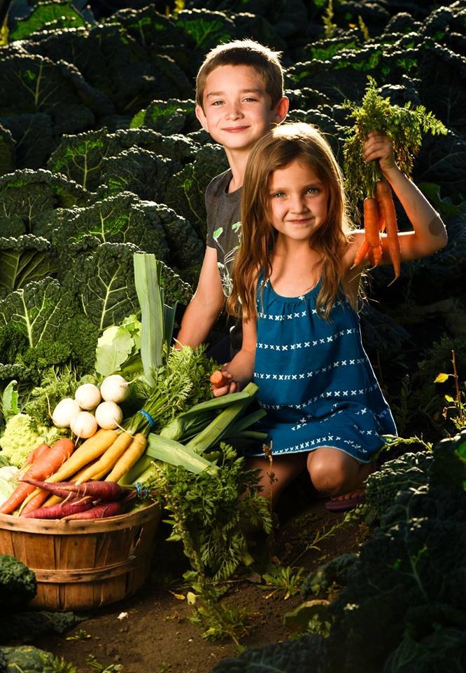 Ousel & Spur Pizza tweet media