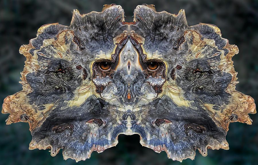 Mosherland tweet media