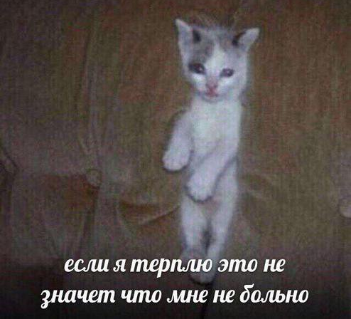 so_mad_so_funny's tweet photo. https://t.co/yljtUSbyZL