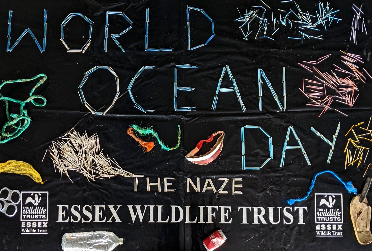 EssexWT_Rachel's tweet image. Here's a selection of what The Naze Centre have found during their beach cleans over the last couple of months.. A sobering reminder of where our rubbish can end up - but we can all make a difference! #RefuseReduceReuse #SwitchTheStick #WorldOceansDay #30DaysWild @EssexWildlife