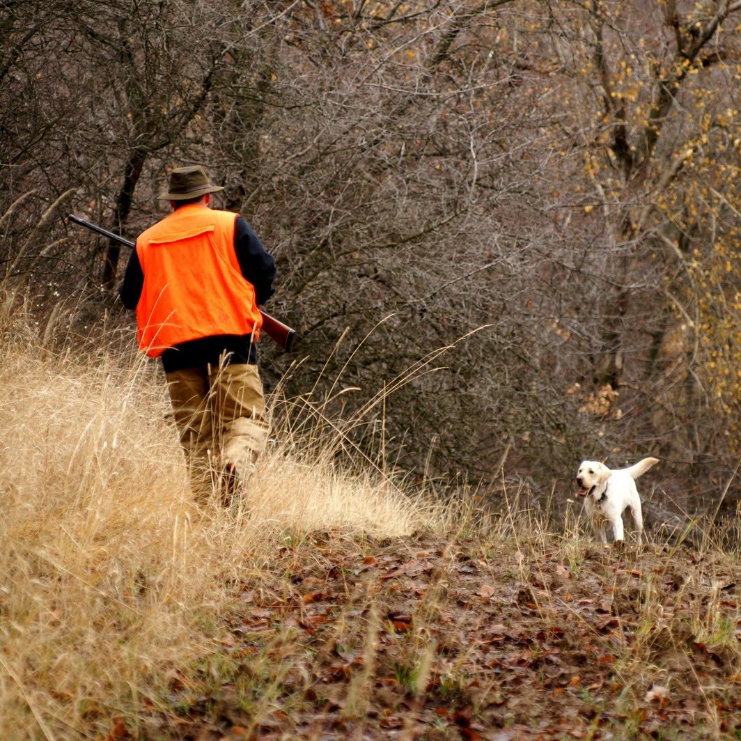 Luckyworm tweet media