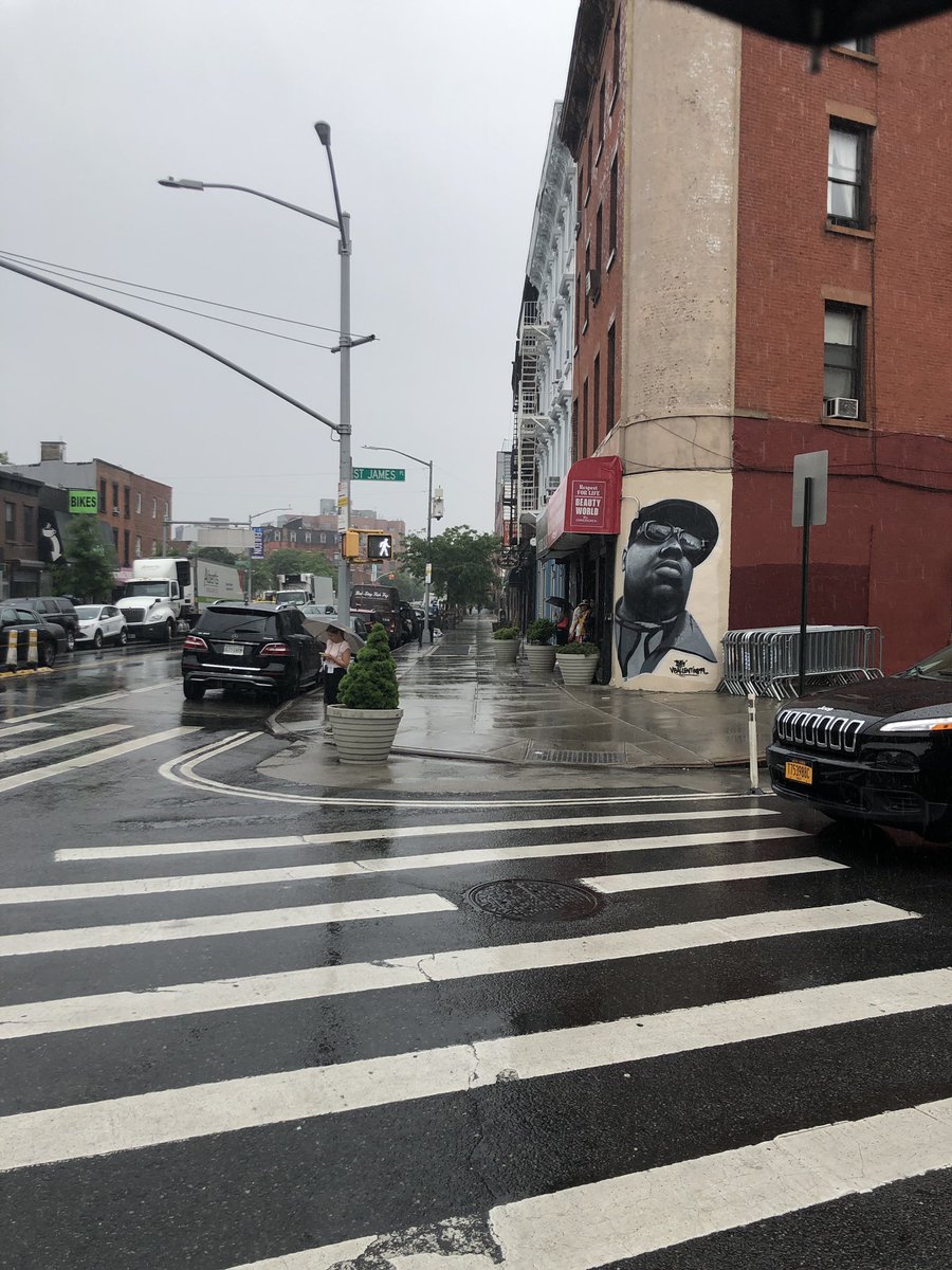 Anna Quinn tweet media