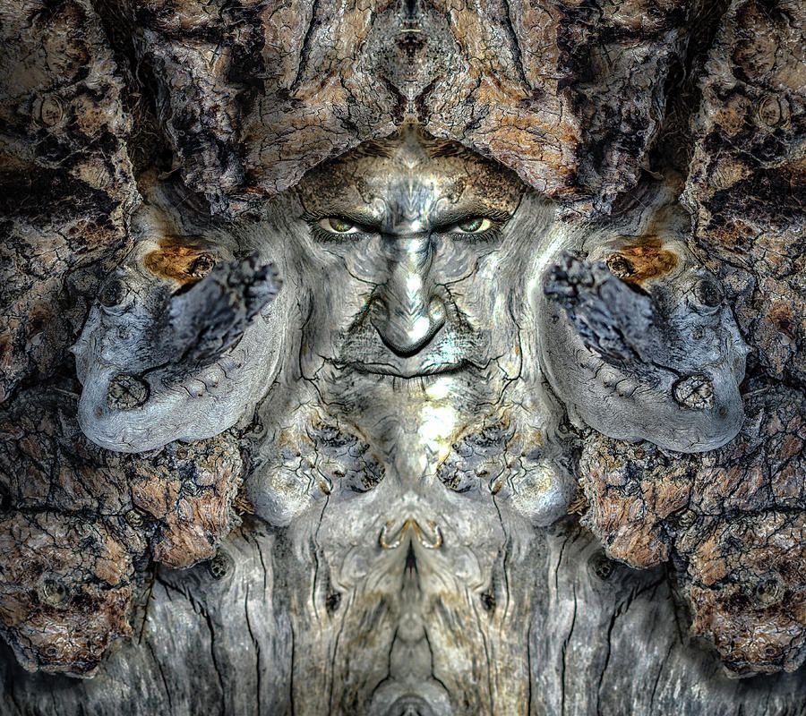 Mosherland tweet media