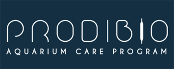 PANDAquatics's tweet photo. Thank you to Paul Mason from @ProdibioAqua for coming to the Aquatics Plus summer show and sponsoring us with some great prizes. Hope to see you again soon. https://t.co/8MvhQdGUIo