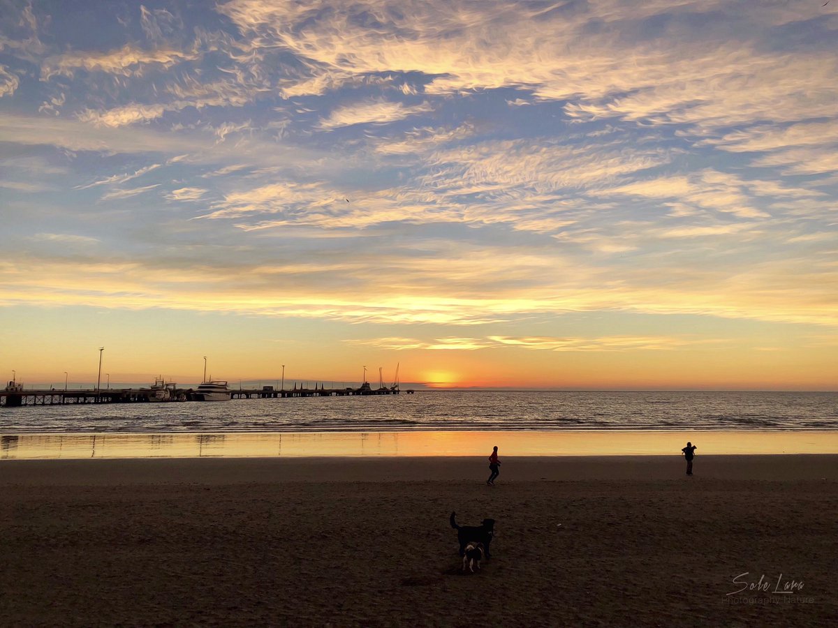 solelarafotos's tweet photo. ✨Lunes☀️cámara📸acción✨ #ArrancandoLaSemana #BuenLunes #PuertoMadryn #DiasdeAmaneceres #PatagoniaArgentina 🙋🏻‍♀️ #SurArg https://t.co/Ys8L72pQsR
