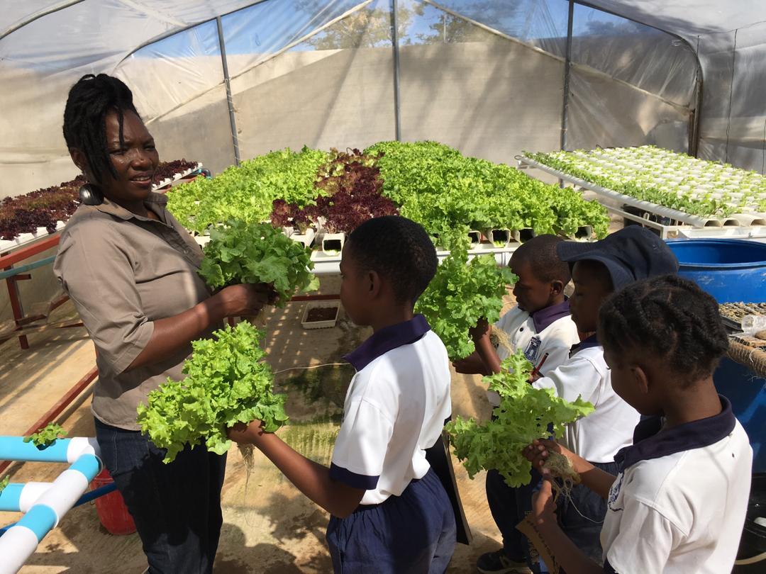 HeritageZW's tweet photo. Year 3s visit to 160 Hydro Farm. @getsi10 @FungayiP @panG82 @wadziP @TheTapx @PachikoroZW #agriculture https://t.co/GDn8L7HNxY