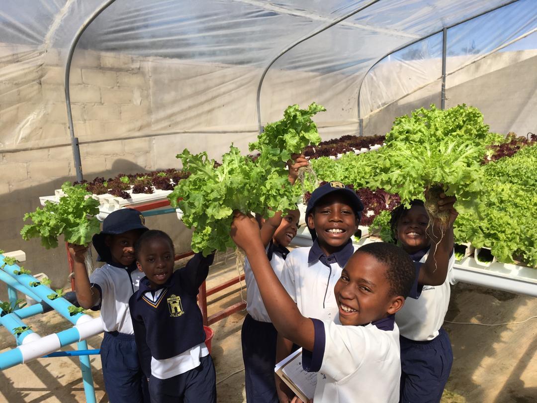 HeritageZW's tweet photo. Year 3s visit to 160 Hydro Farm. @getsi10 @FungayiP @panG82 @wadziP @TheTapx @PachikoroZW #agriculture https://t.co/GDn8L7HNxY