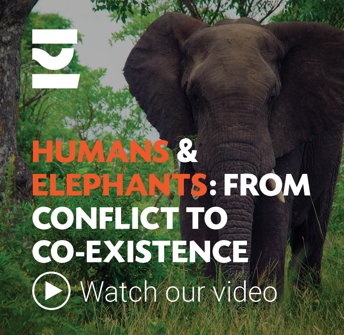commsbible's tweet photo. #FILM We are working hard to show there can be #hope when it comes to #environmental and social issues. Here's how we are working to reduce human/#elephant conflict in #Malaysia https://t.co/Re4OyS5RUf Thx @ecobusinesscom https://t.co/wHPFlEyovK