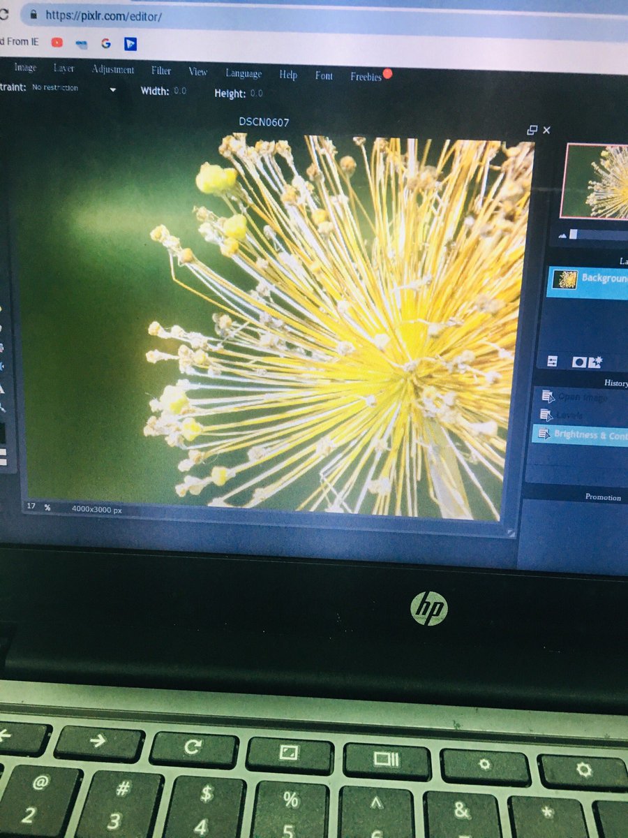 jencottengim's tweet image. Group 2~ unbelievable photographs~📷❤️looking closely at the world we live in. #stillifephotos @CowdenSPS @officialSPS #spsartworks