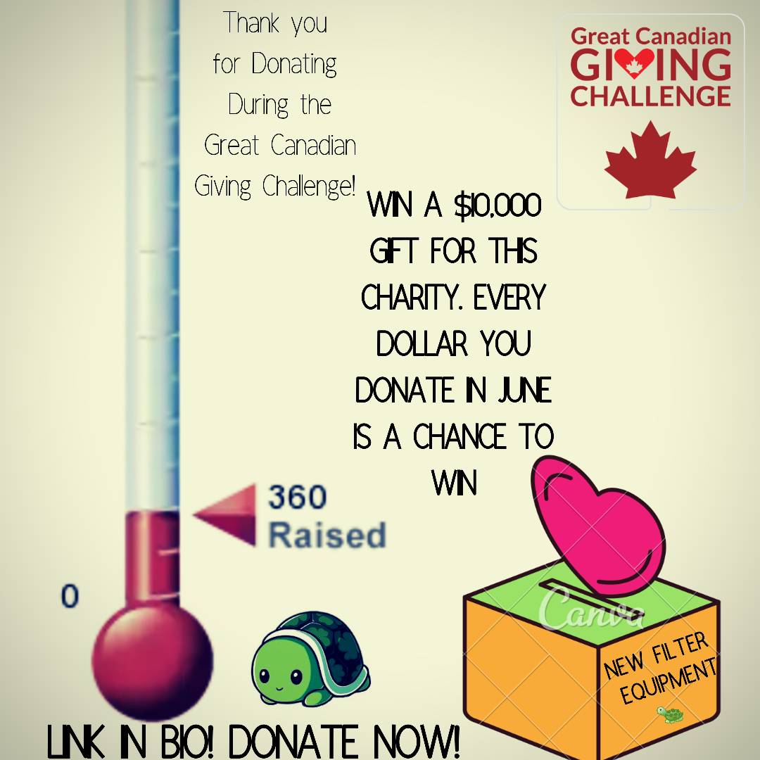 Thank u for #givingchallengeca donations
Every #donation $3+ gets an entry to win the $10k!
$4000 = needed filter upgrades!
bit.ly/2IvAleR
Please support : $, retweet !
Thank you! #turtlerescue #registeredcharity #ontario #redearedslider #turtlelove #protectnativespecies