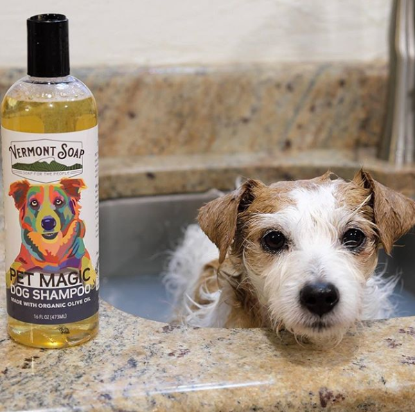 DionLabel's tweet photo. Our long-time customer @vermontsoap is known for their organic soap products, but did you know they also make pet products?

#repost #diondoeslabels #petlabels https://t.co/njW4oKwjZm