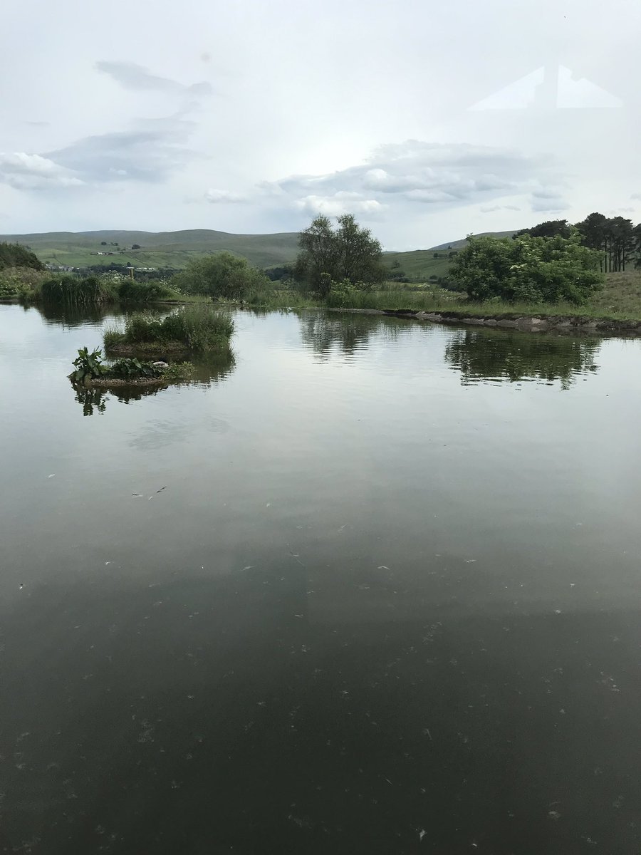 Great food @TebayServices with a great view 😎