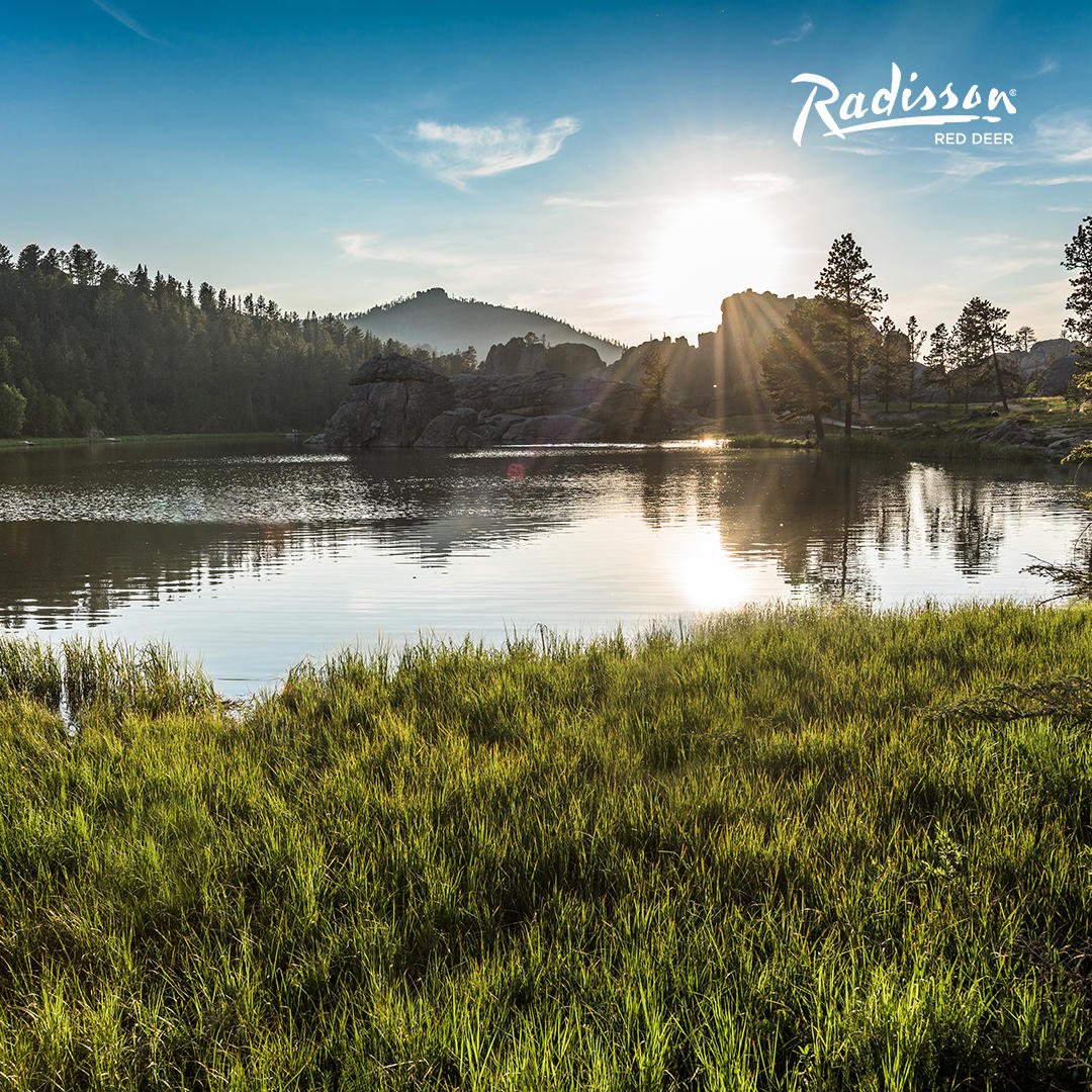 Summer means it's the perfect time for SYLVAN LAKE! Enjoy their water sports, the beach and the infamous Big Moo! Stay at our hotel to end your busy beach day with luxurious accommodations!