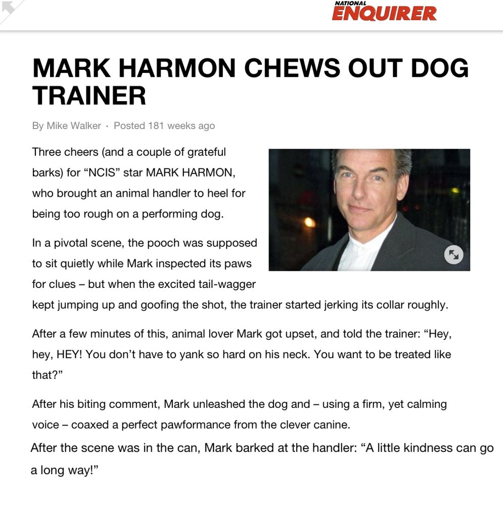 Quick #NCIS reminder that while Pauley Perrette is a bad advocate for #RescueDogs and also drags dogs happily on red carpets (for publicity of course) with lots of photographers yelling and taking photos, Mark Harmon stopped a cruel #DogTrainer from abusing a poor dog...