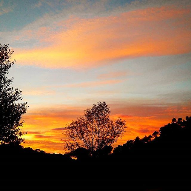 NaturZip's tweet photo. Fuego en el horizonte 🌄🔥
______________________
#fuego #horizonte #sol #amanecer #atardecer #fire #sun #sunrise #sunset #sundown #landscape #sunsetlovers #photosunsets_nat #sunset_creative_pictures #sunriselovers #sunrise_sunsets_aroundworld #sunrise_sky #sunrises #sunrise_a… https://t.co/BojmL3sJty