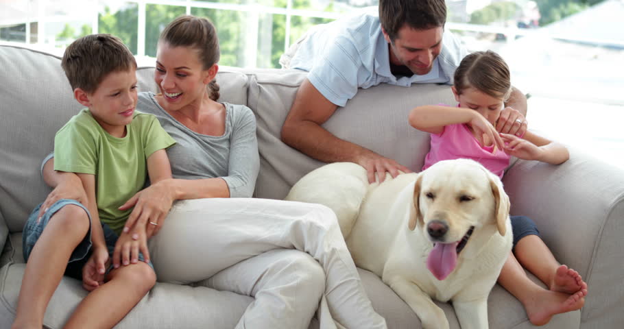 NFSAorg's tweet photo. Love your home? Love your family? Love your pets? Then, you need #firesprinklers! Find out why! #FireSprinklersSave https://t.co/xIhhhcPvU9 https://t.co/GdIukYO9vk