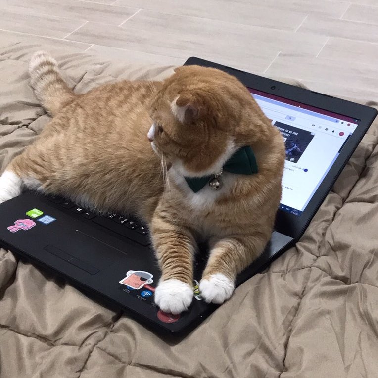 พี่รีน tweet media