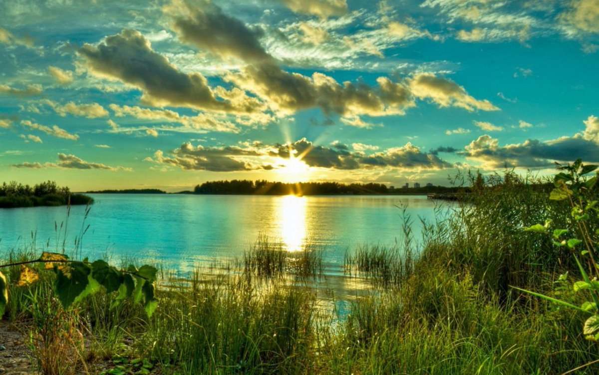SoundDiscoveri1's tweet photo. 1 Hour of Music for Stress Relief from  @SoundDiscoveri1 at : https://t.co/iDugxLhbLz

#music #piano #stress #stressrelief #ambient https://t.co/gBpzQu0tVF