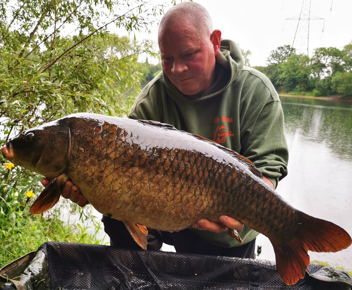 FFCBAITS's tweet photo. Four more 20's on the Greek Tweak test mix from 3 different lakes today
#carpfishing #bigcarp #Thripster https://t.co/lOgCFjU0Sa