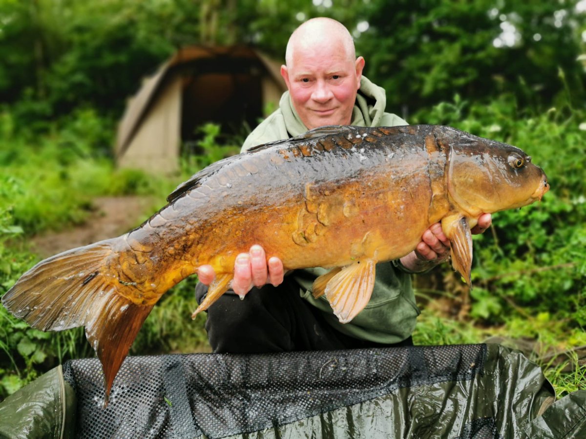 FFCBAITS's tweet photo. Four more 20's on the Greek Tweak test mix from 3 different lakes today
#carpfishing #bigcarp #Thripster https://t.co/lOgCFjU0Sa