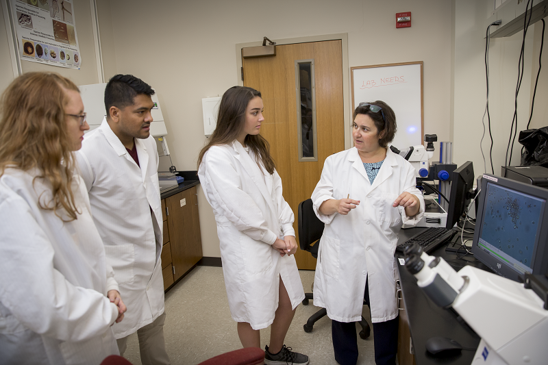 LSU_CCE's tweet photo. #WednesdayWisdom Here's why a Coastal Environmental Science degree is a smart career move.  LSU CC&amp;E is helping our #Tigers to gain knowledge &amp; experience that will open doors to a multitude of inspiring careers. #LSUForTheFuture Read all about it! https://t.co/z3lWH9oxVn https://t.co/571agDo162