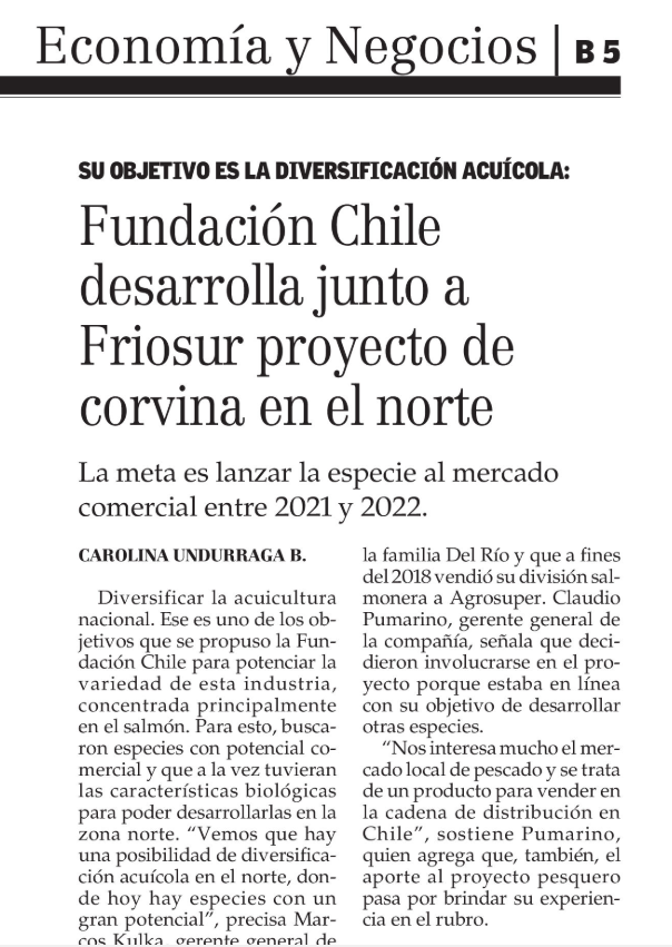 fundacionchile's tweet photo. .@kulka_marcos, Gerente General de FCh, sobre #ProgramaCorvina: "Vemos que hay una posibilidad de diversificación acuícola en el norte, donde hoy hay especies con un gran potencial". https://t.co/qhFE6qaylD vía @ElMercurio_cl. https://t.co/ulnqHR6bAy