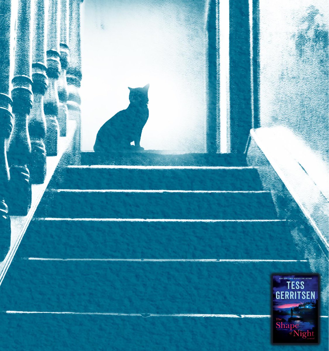 To honor the lovable and mean coon cat Hannibal in ‘The Shape of Night,’ I'm donating $5000 to animal shelters. 

Want $500 for a shelter in your name? Retweet to enter (and for a bonus entry, reply with your favorite shelter's name or a photo of YOUR cat!) #HannibalTheCat