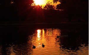 abqbiopark's tweet photo. Have you ever wondered what happens at the #ABQBioPark after the sun goes down? Special tours each Tuesday evening this summer will give participants the opportunity to find out. https://t.co/bc3K2z4TGC #EveningPrograms https://t.co/D9GWzwBWr1