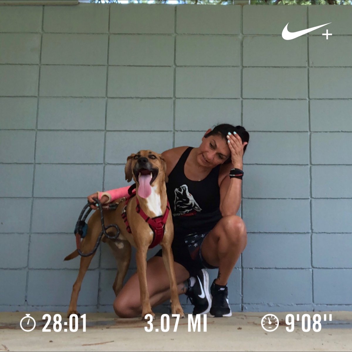 GABruns4fun's tweet photo. Easy 3 #miles with #guacamole 🐕 repp’n #wolfpackrunningtx #neverskipamonday #nikerunning #instarunners #dogsthatrun https://t.co/r2GOzHMjHD