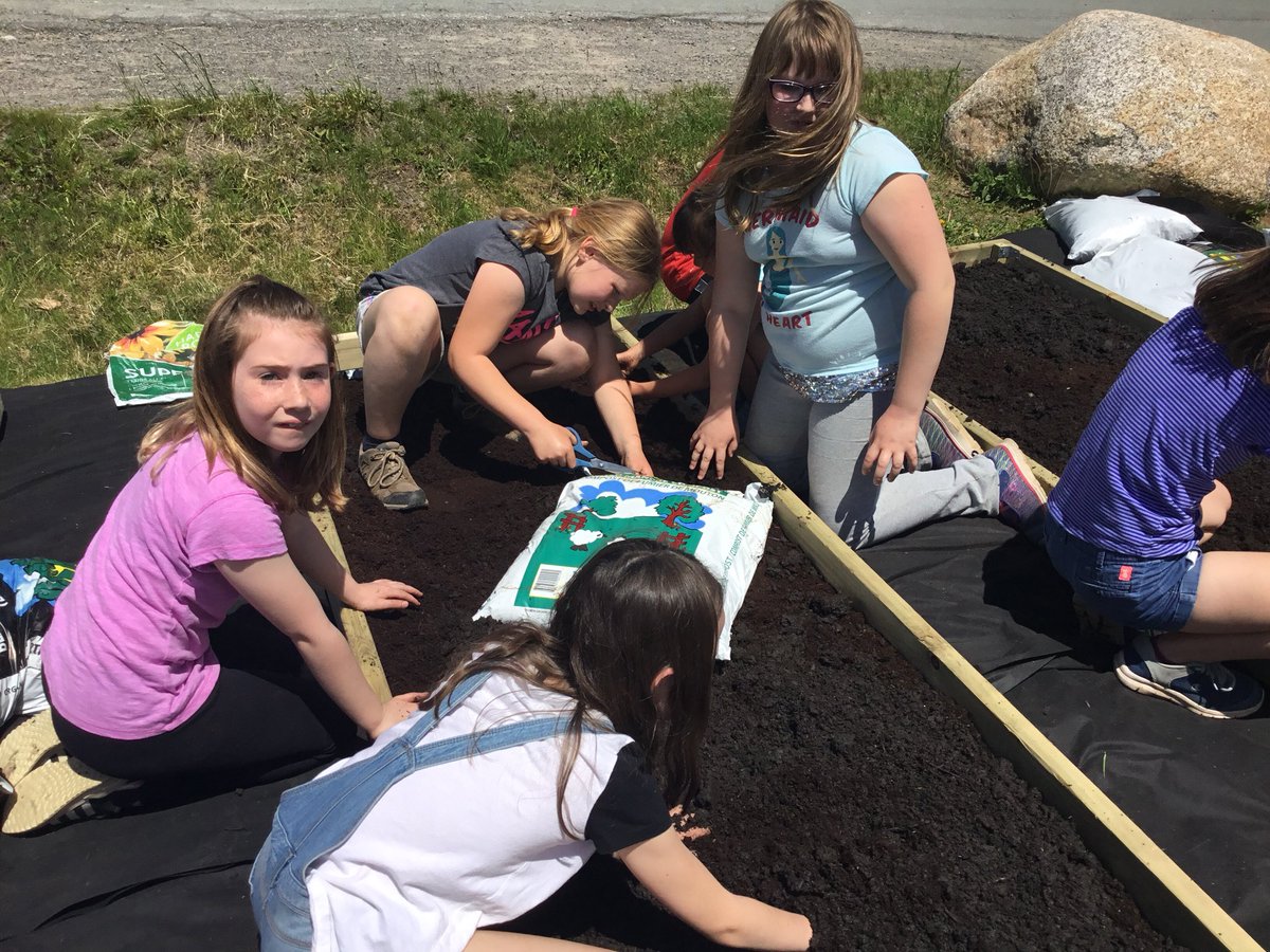 FdsLeary's tweet photo. Fill them up! #determinationliveshere #schoolgardens @avrceprograms @FDSPrincipal https://t.co/WvKfhFVTte