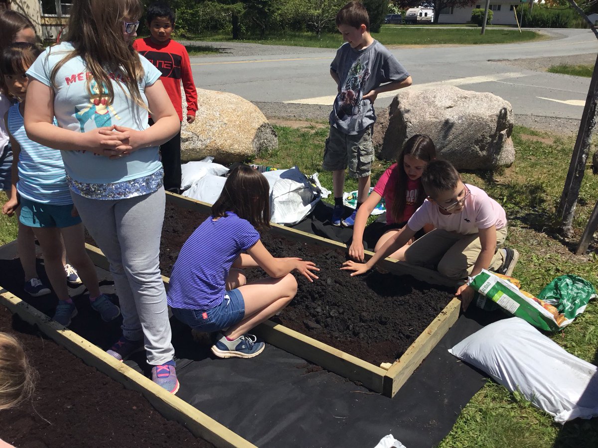 FdsLeary's tweet photo. Fill them up! #determinationliveshere #schoolgardens @avrceprograms @FDSPrincipal https://t.co/WvKfhFVTte