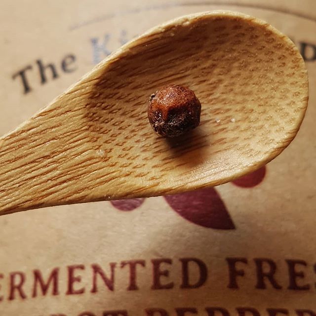 Kampot red pepper fermented in fleur de sel from the best pepper dealer out there, Michael the Pepperman <a href="/kadodepepperuk/">KADODE KAMPOT PEPPER</a>. 
These beauts have a crazy flavour profile with hints of cardamom and anise followed by a long but smooth, spicy finish. (He has mad good Cambodian long …