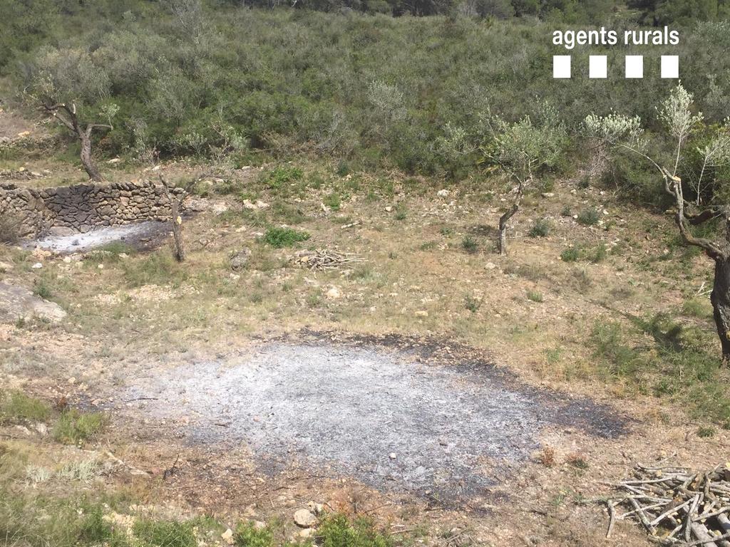 agentsruralscat's tweet photo. Per a cremes agrícoles cal  autorització d'@agriculturacat:
👉S'han de fer només en l'horari autoritzat
👉A una distància mínima de 25m de vegetació forestal
👉S'han de fer piles petites
👉Les flames no poden superar els 3m alçada
👉Cal apagar les brases
👉No es pot fer amb vent https://t.co/mmmZLy6XYk