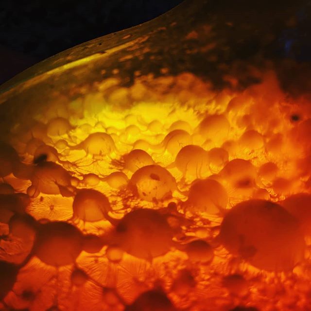 Space or pellicle porn??? This crazy looking pellicle is on my blending sour. It looks amazing! #funkybeer #homebrew #homebrewing #sourbeer #homebrewingonly #homebrewingsourbeer #homebrewers #funk #sourblending #agedbeer #pellicle #sourbugs #mtf #lewbrew… bit.ly/2IB4KZr