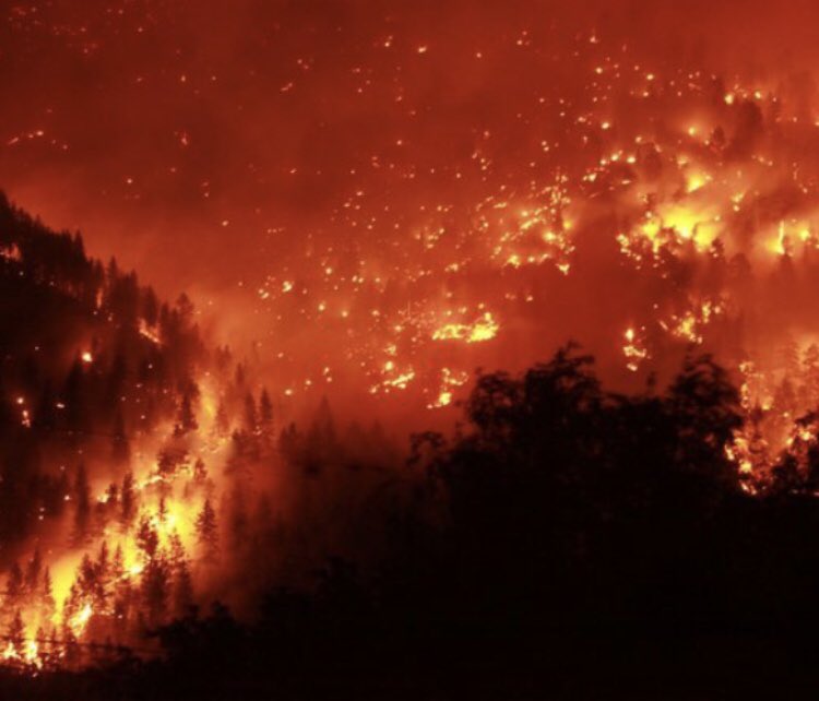 zhch58's tweet photo. Votre décision a lancé un bal du feu dans notre vie🔥
Arrêtez #pl9
#Quebec_Immigration_Injustice @18000Dossier @MIDI_QC @SJB_CAQ @francoislegault @LiberalQuebec @QuebecSolidaire @DomAnglade @Kathleen_Weil @RadioCanadaInfo @PauleRobitaille https://t.co/Se0hJGysh1