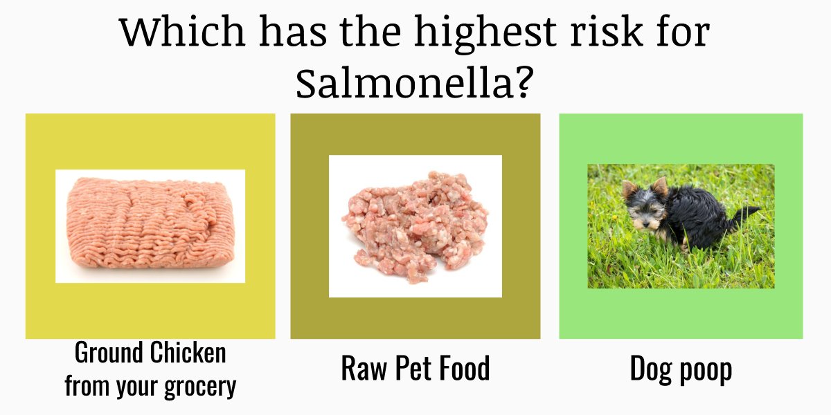 Does raw pet food scare you? The real truth about raw pet food truthaboutpetfood.com/the-real-truth…