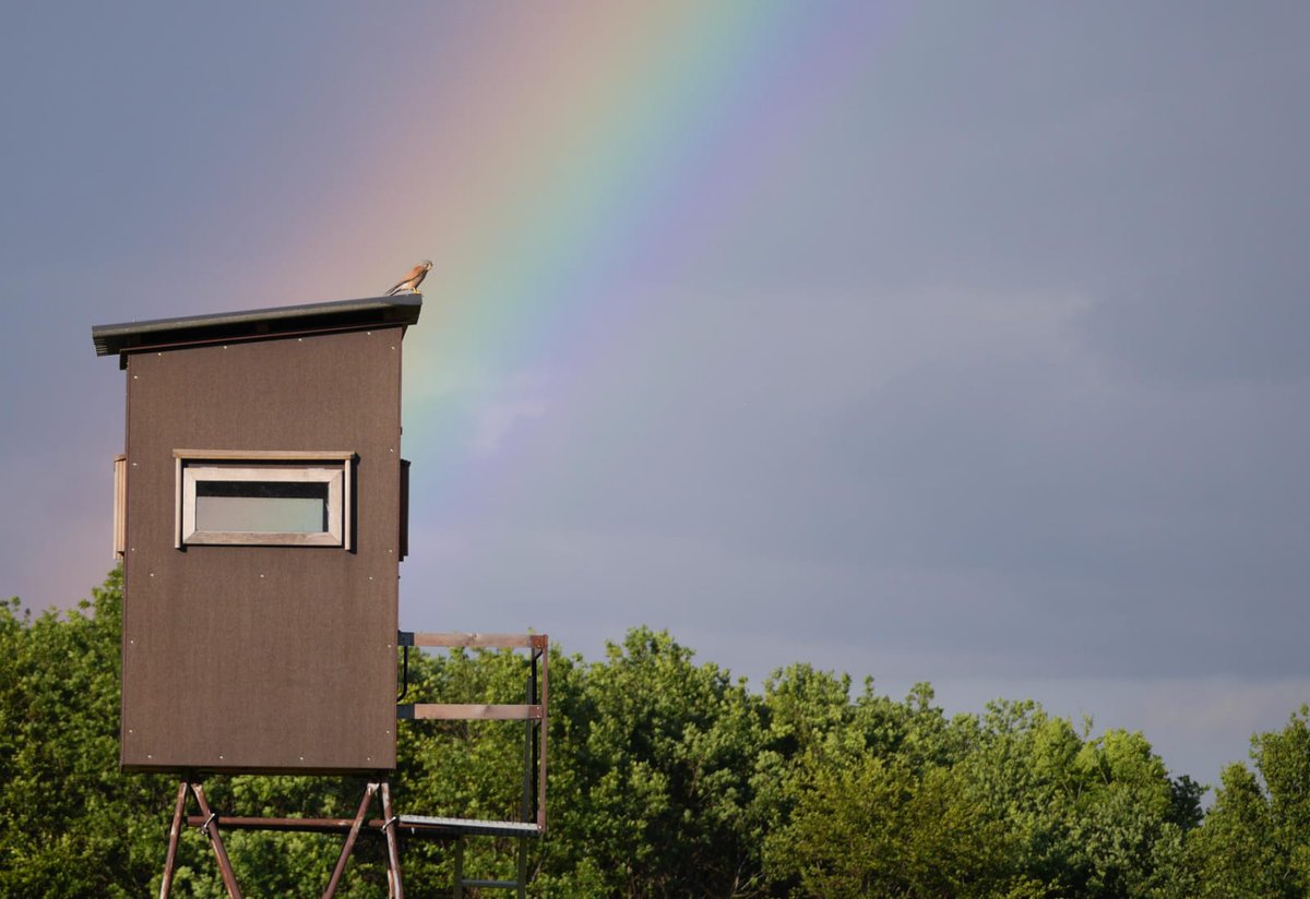 Gewitter mal von der schönen Seite