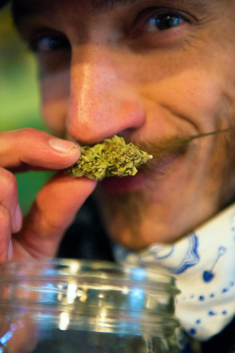 BrotherDavids's tweet photo. Cannabis should be grown and consumed consciously, respecting its connection to the land and the people who grow it. This consciousness not only enhances the quality of the #cannabis, but the quality of our experience with it.
#sunandearth #groworganic #regen #healsoil https://t.co/OoIa6PQMqU