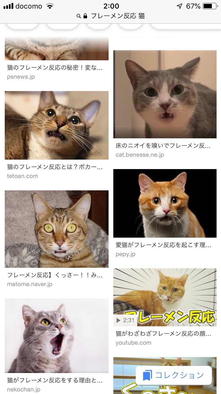 軍手 判定された時のリアクションが猫のフレーメン反応みたいでかわいかった絵恋ちゃん お願いランキング 私って美人ですよね 絵恋ちゃん T Co Sfnmfo34gy Twitter