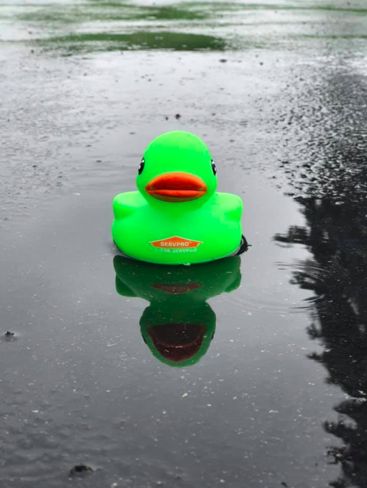 We are having a rainy start to our Monday☔️ 
 
Call SERVPRO of Northeast Columbus at 614-888-5700 if you experience water damage. Our technicians are available 24/7 rain 🌧 or shine ☀️!