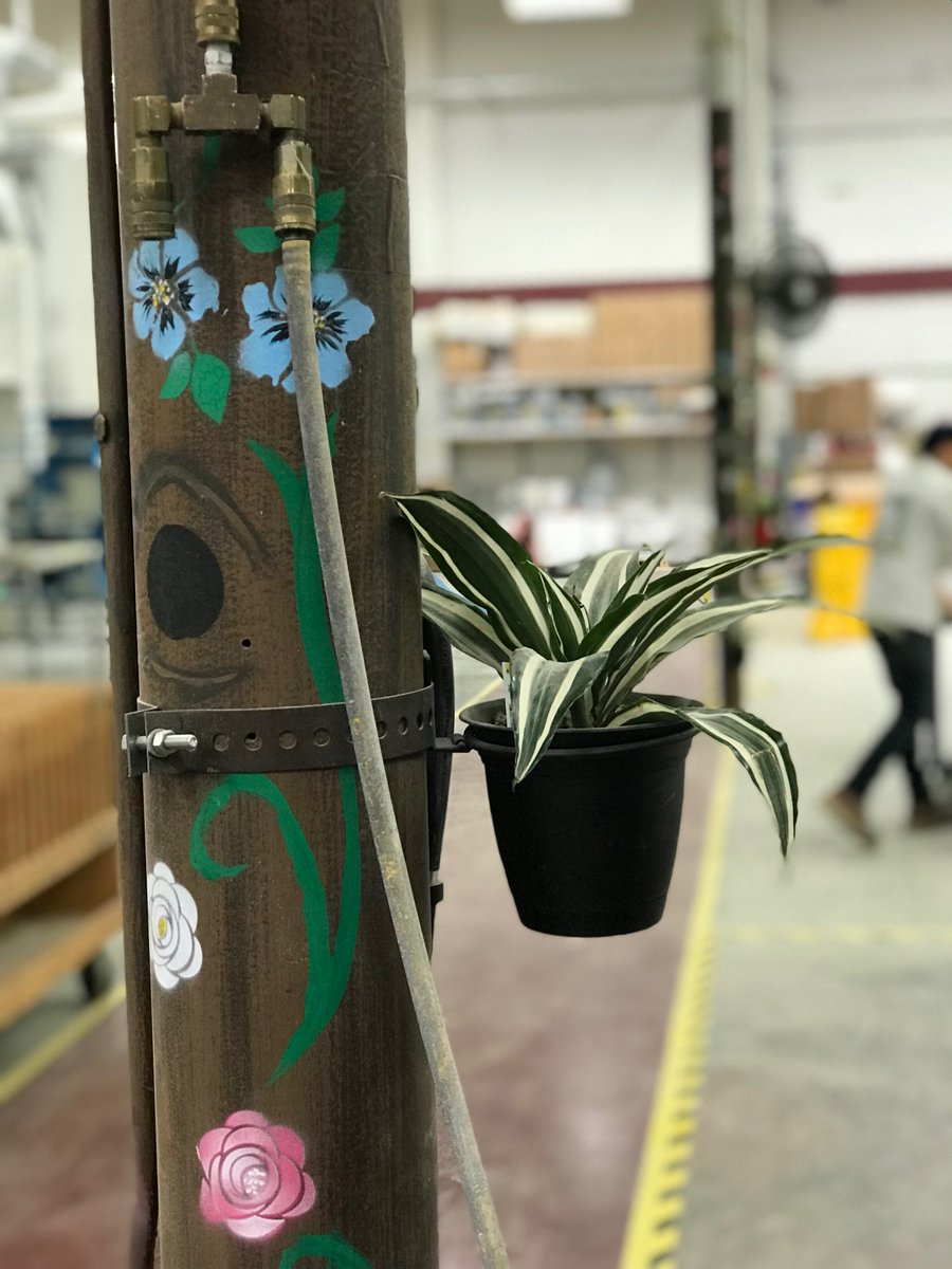 usa_millwork's tweet photo. What do plants &amp; #custom #millwork have in common? #VOCEmissions! We work hard to reduce the VOC emissions for our employees and have added plants throughout our finishing dept as an added measure.  Studies show that specific plants can reduce VOC emissions in the air by 90%. https://t.co/ZBCgWQ3dSb