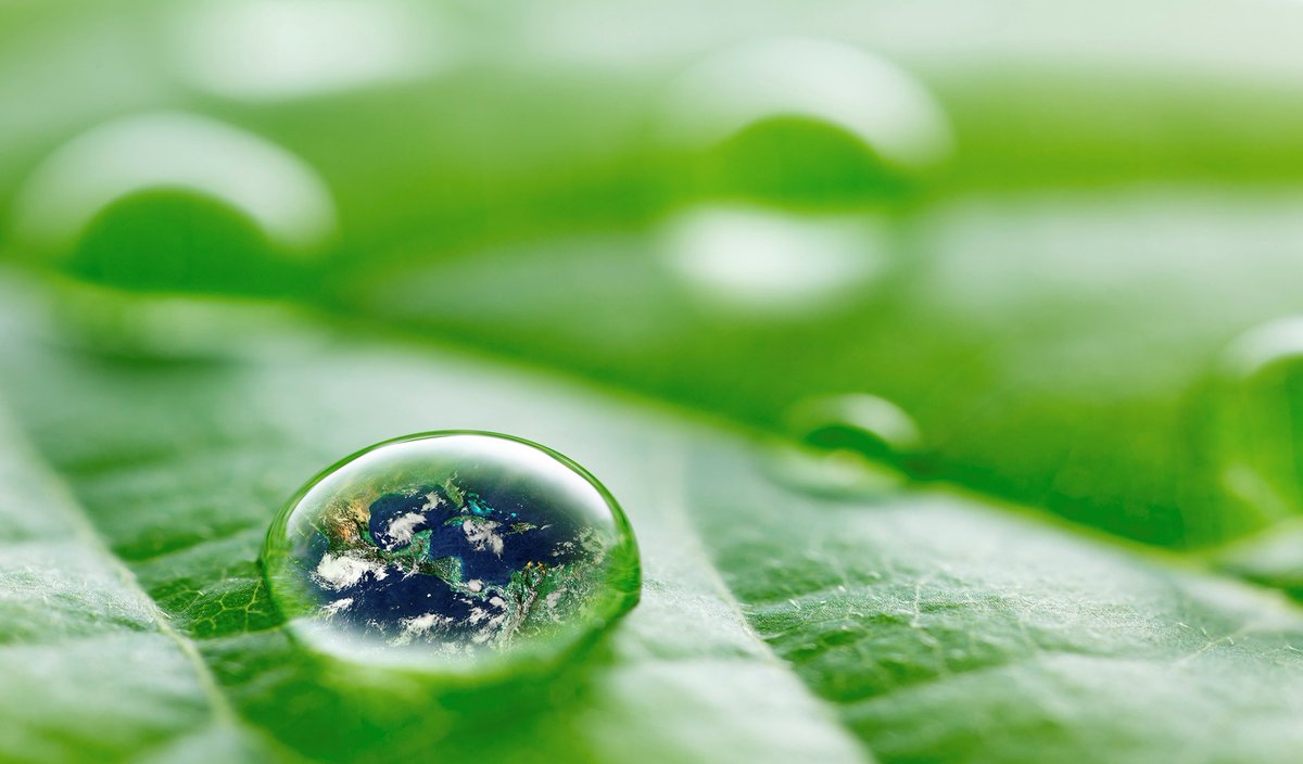 MapofLife_ai's tweet image. Celebrate E.O. Wilson’s 90th Birthday today, and through June. GIVE THE GIFT OF SPECIES DATA. Researchers, citizen scientists, and nature lovers alike are invited to join the celebration! mol.org/upload mol.org/mobile @EOWilsonFndtn #HalfEarthProject