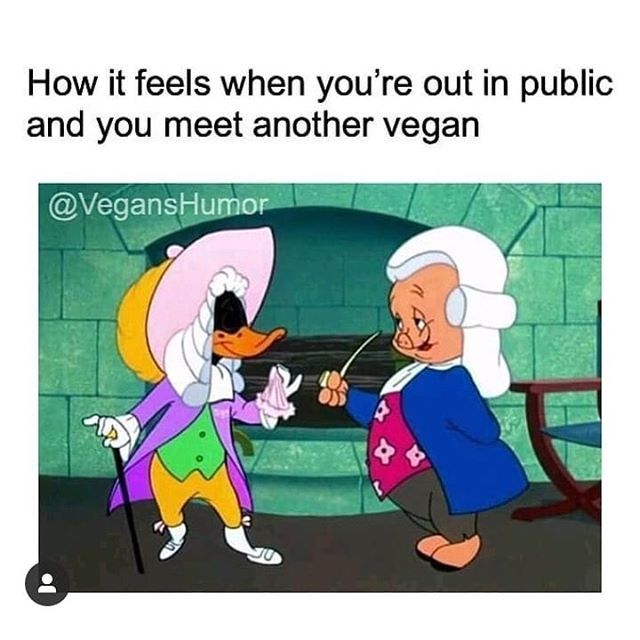 VeganKitchen's tweet photo. 😊 🌱 The feeling when you meet another Vegan in public... 😂
.
.
👊#repost @veganshumor
Click link In Bio for funny vegan stickers, tshirts and more products coming soon...
.
.
#veganmeetup #veganfriends #newvegan #plantbaseddiet #ditchdairy #whatvegans… https://t.co/w1DPGNEbLK https://t.co/M86YmIyuGs