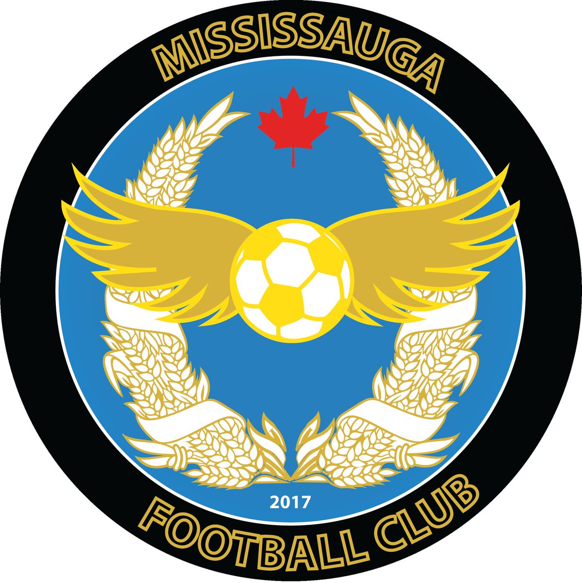 Hi everyone, I hope all is well and ready to cheer on your Toronto Raptors. Before, all the cheering and screaming. I would like to annouce that I have opened up my own Soccer/ Football Academy here in Mississauga. I would like you to follow the soccer account at <a href="/MississaugaFC/">MississaugaFC</a>.