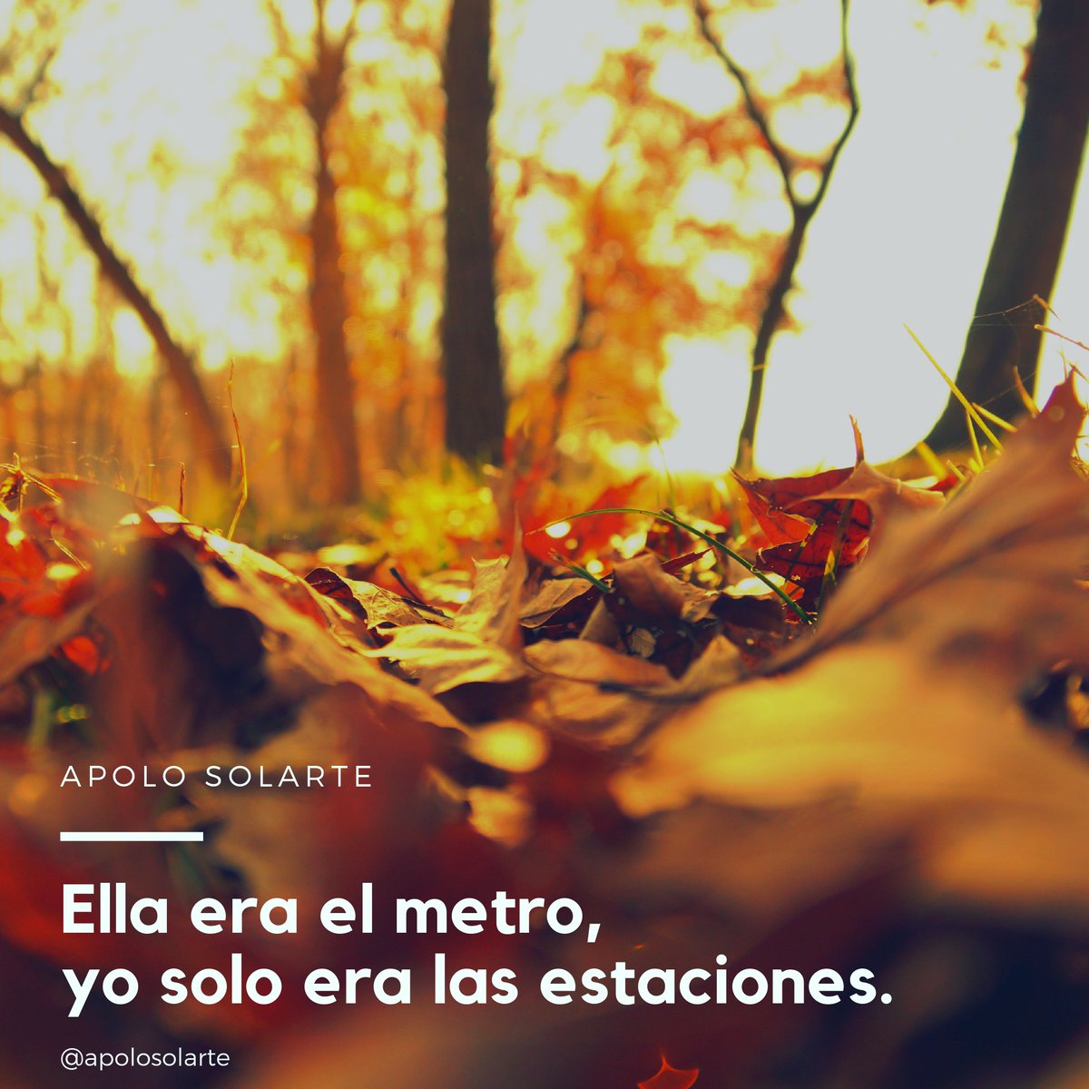 Apolo Solarte (@apolosolarte) on Twitter photo 