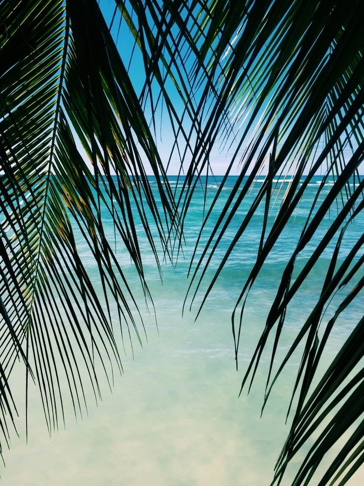 #Tropical #Paradise 😝
#swimtrunks #papeete #islandgyal #saltyhairdontcare #boatdays #jamaicaexperiences #cruisewear #luxurybeachwear #sandandsurf #plamtrees