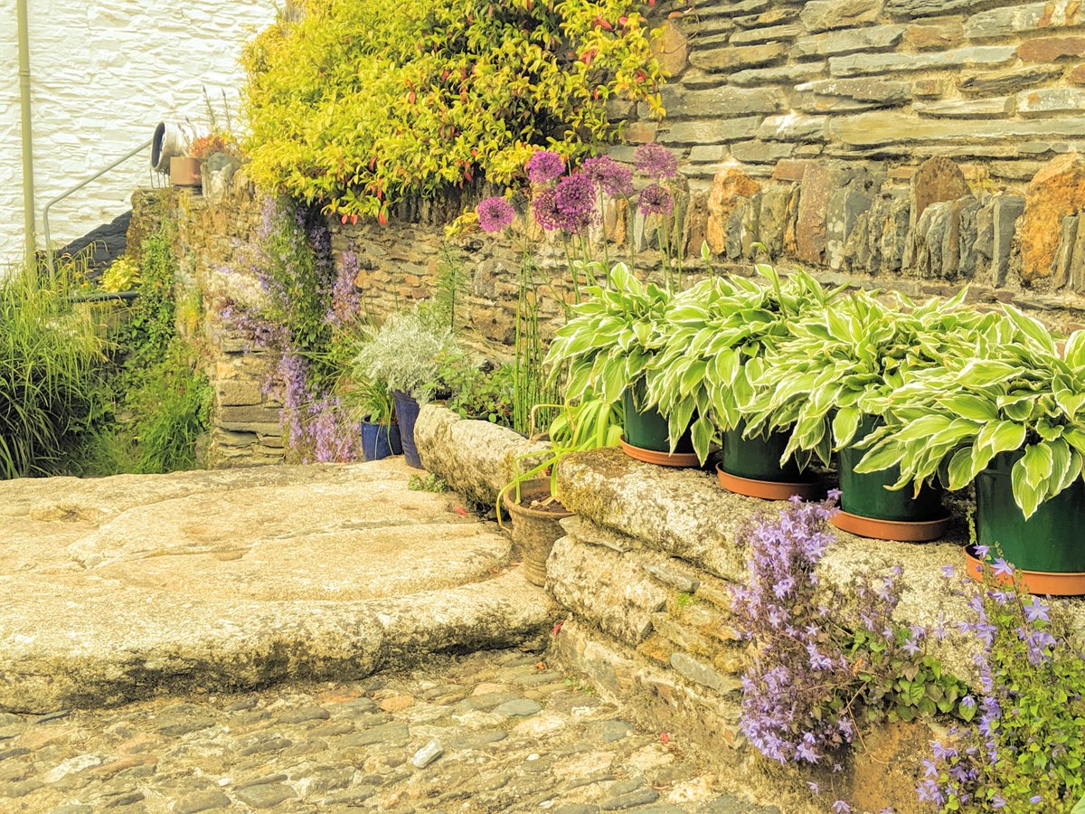 ChloeLe39602964's tweet photo. Water gate in an old stone wall in #Village of Buckland Monachorum #Dartmoor #devon #britain beautiful hostas growing beside it apparently completely unnibbled by slugs #gardens #gardenshour #stream #water #plants #devonhours https://t.co/yfVKcO0bi3