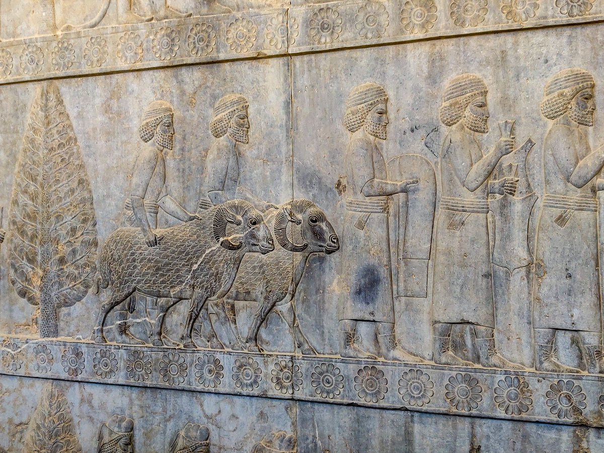 なにもにお 世界一周54ヶ国 一時帰国中 今回はペルセポリスの他にネクロポリス 世界遺産のパサルガダエの3箇所を8時から17時まで回るツアーに参加して ガイドと昼食 移動費込みで19ユーロ 22ドル でした 価値あったなー イラン シラーズ 世界